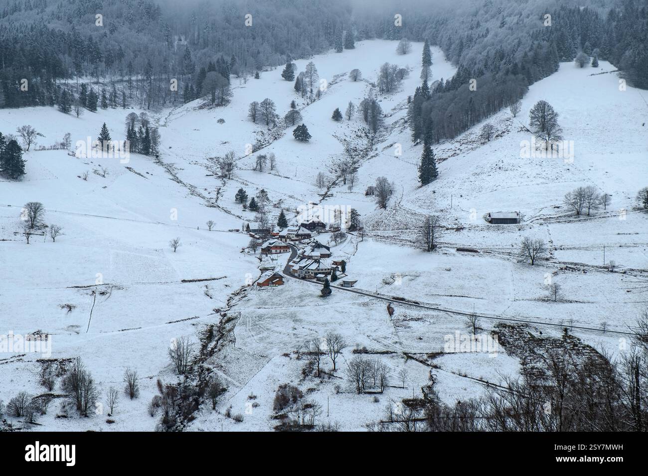Villaggio innevato nella Foresta Nera, Germania meridionale - paesaggio invernale con case alpine e foresta di pini Foto Stock
