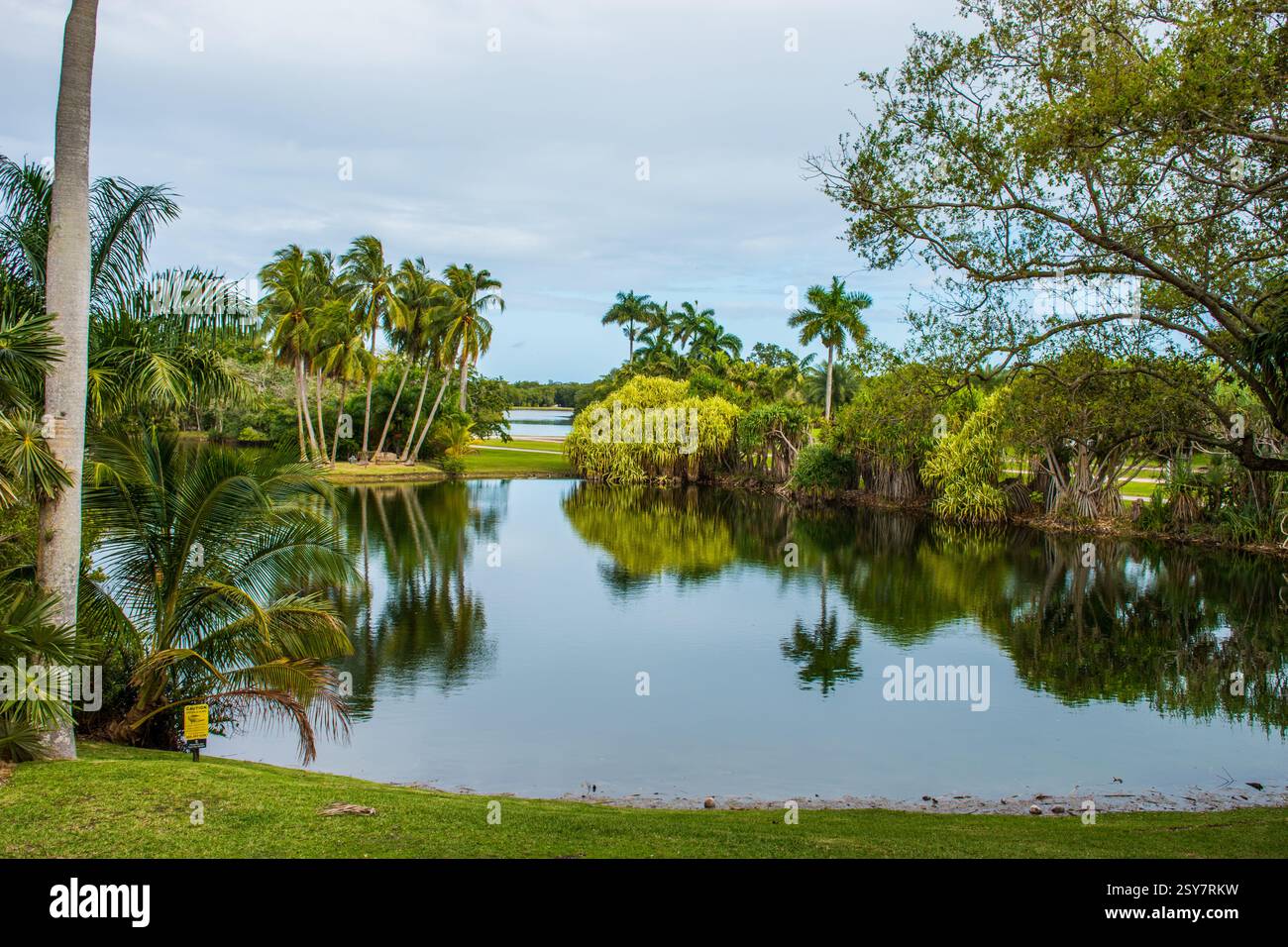 Paesaggio di un lago con palme con riflessi sull'acqua a Coral Gables, Florida. Foto Stock
