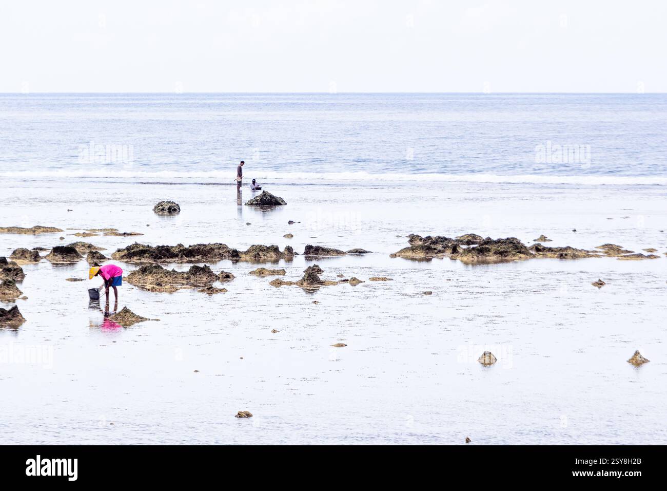 La gente del posto raduna conchiglie su una spiaggia tranquilla durante la bassa marea sull'isola di Siargao nelle Filippine Foto Stock