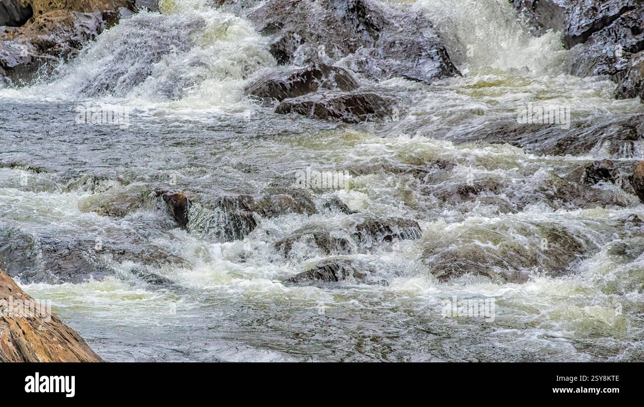 Primo piano di rapide fluviali che si muovono a cascata sulle rocce, mostrando acqua bianca e movimento naturale. Foto Stock