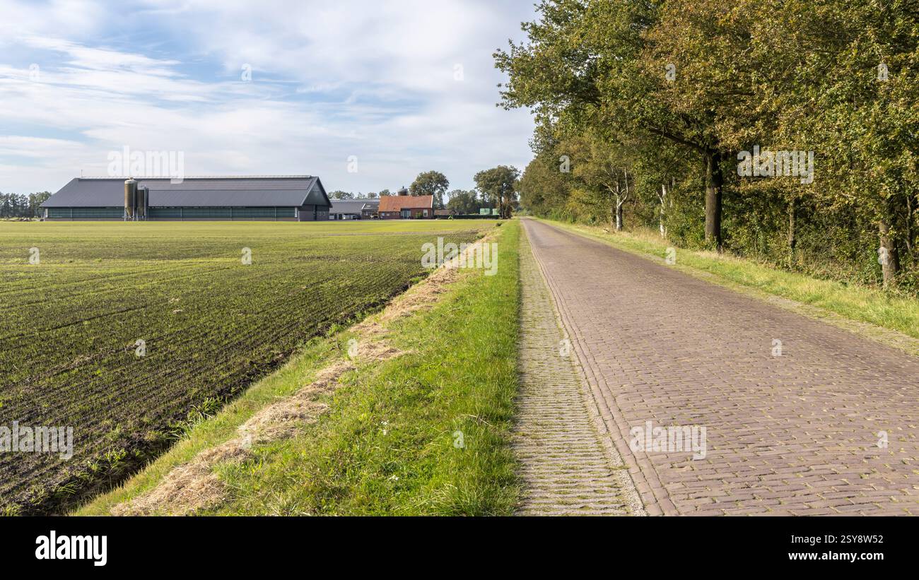 Vecchia casa colonica con grandi stalle moderne con pannelli solari nella campagna di Drenthe, Paesi Bassi Foto Stock