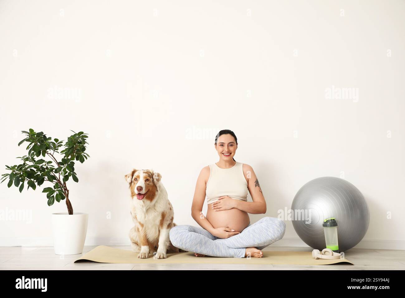 Giovane donna incinta, felice e sportiva, con un simpatico cane da pastore australiano e una palla fitness seduta a casa Foto Stock