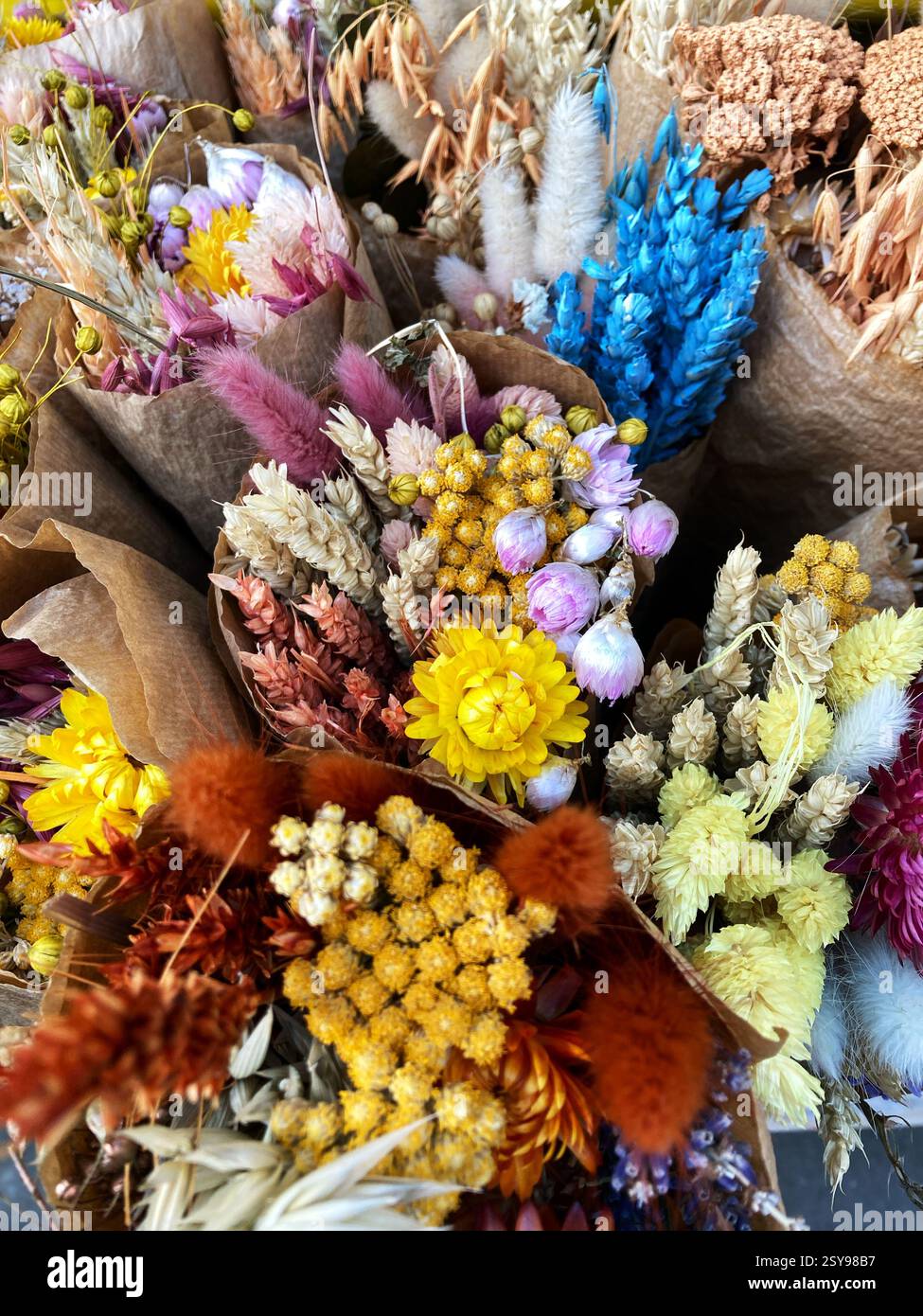 Mazzi di fiori secchi e erbe nel negozio di articoli da regalo - Immagine stock catturata con smartphone