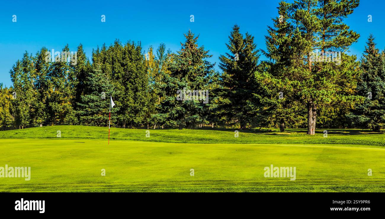 Campo da golf con campo erboso verde e bandiera a terra. La bandiera è bianca e si trova al centro del campo Foto Stock