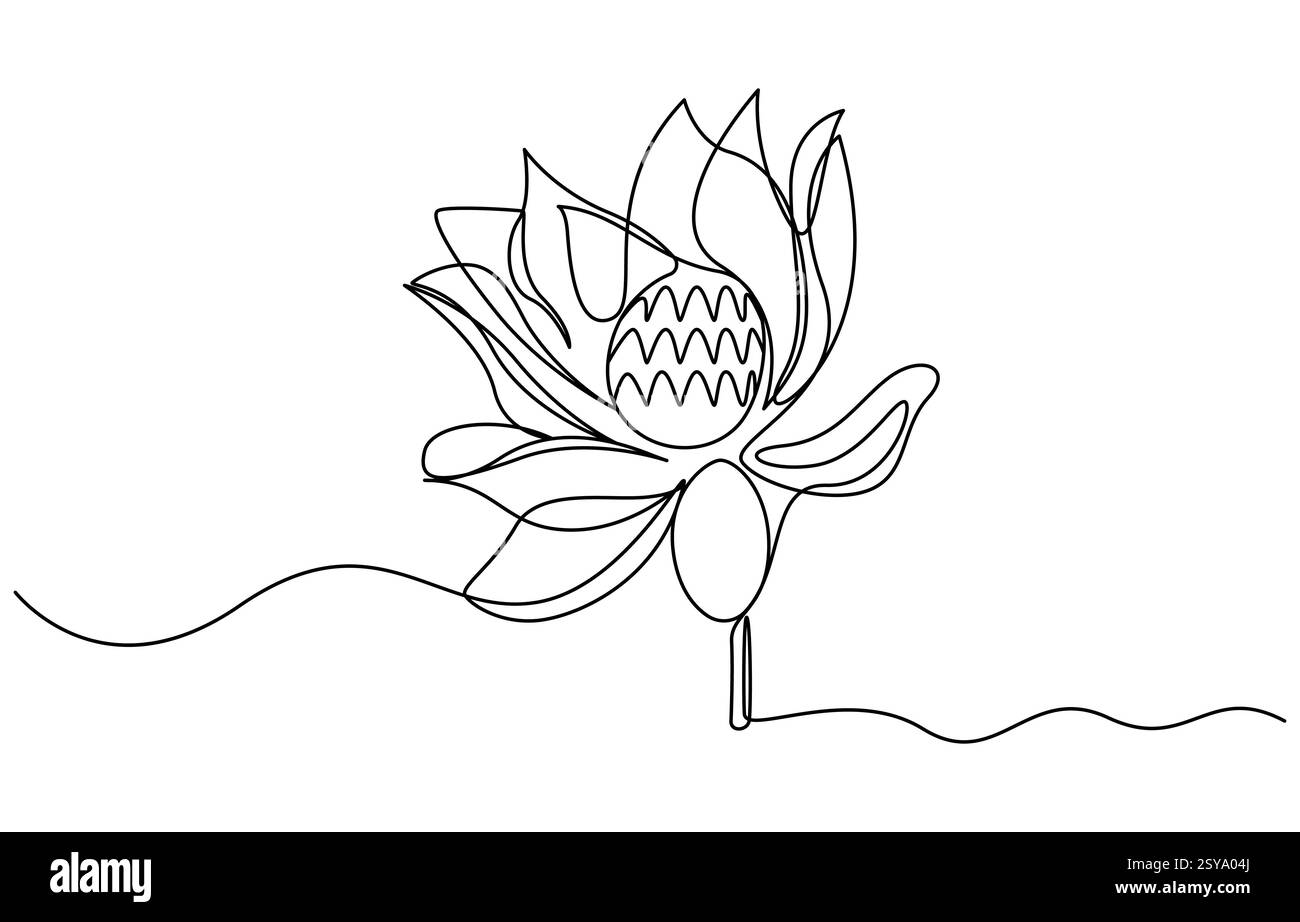 Disegno a una linea continua del vettore della ninfea su sfondo bianco minimalista Illustrazione Vettoriale