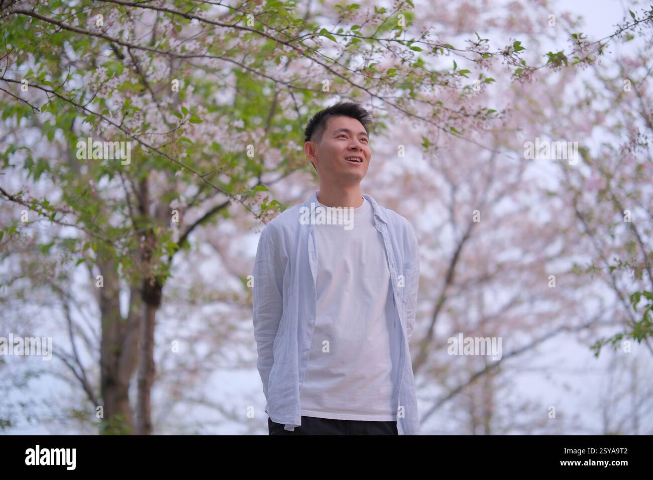Sorridente giovane asiatico con alberi sakura in primavera Foto Stock