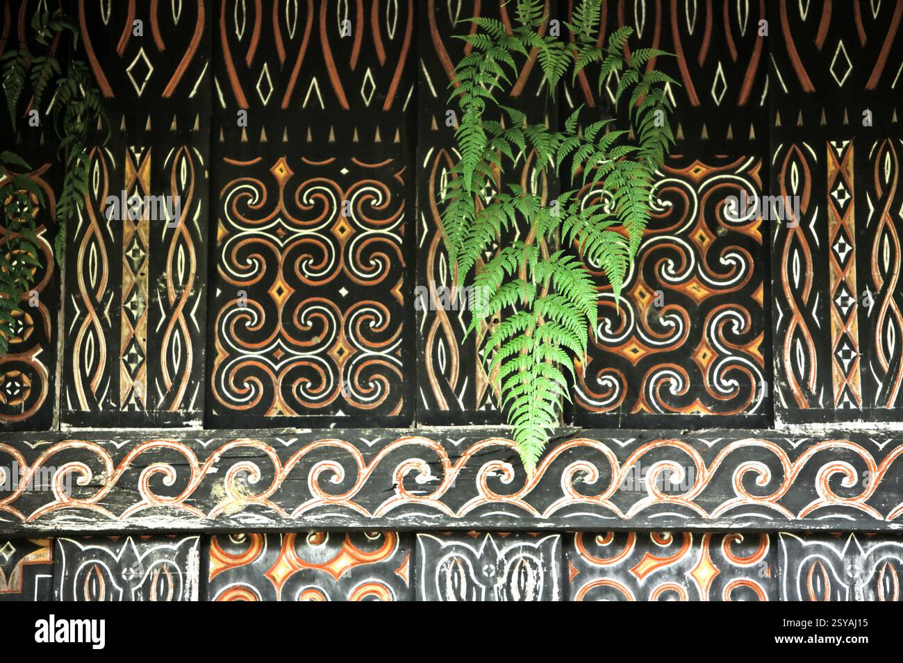Foglie di felce e dipinti decorativi realizzati con motivi tradizionali sulle pareti di un fienile di riso nel villaggio di Kete Kesu, Toraja settentrionale, Sulawesi meridionale, Indonesia. Foto Stock