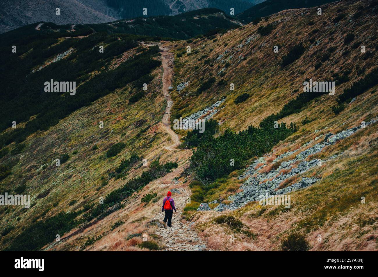 A Journey into the Unknown as a Female Hiker Walks through the dark Carpathian Landscape Foto Stock