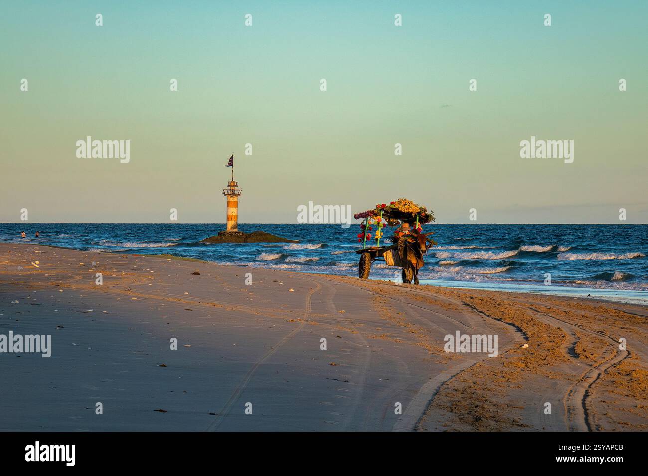 Il carretto dei buoi è tornato al villaggio dopo una giornata trascorsa a fare una passeggiata sulla spiaggia Foto Stock