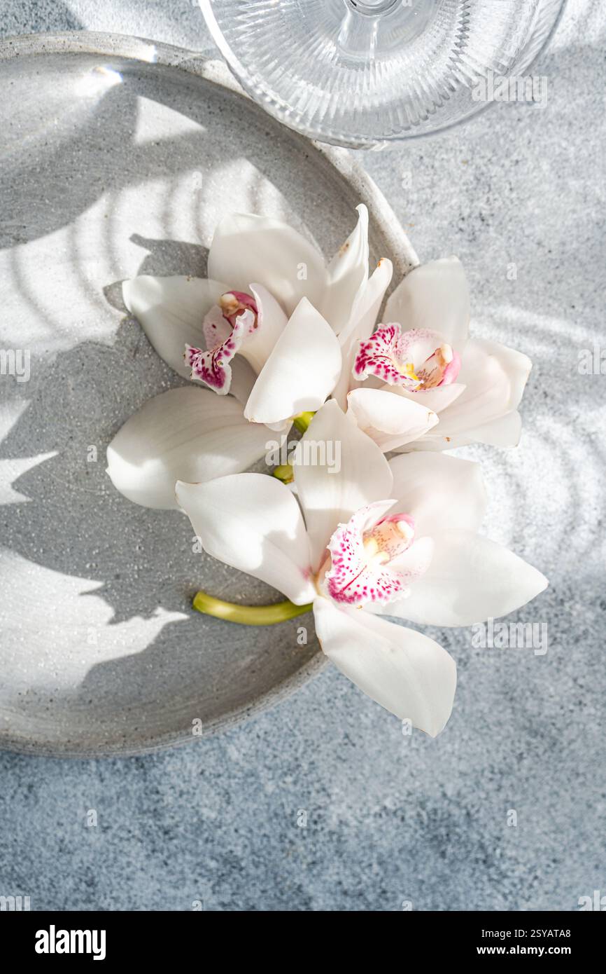 Tre orchidee bianche con centri rosa poggiano con grazia su un piatto in ceramica ruvida. La luce naturale e le ombre soffuse creano una composizione serena ed elegante Foto Stock