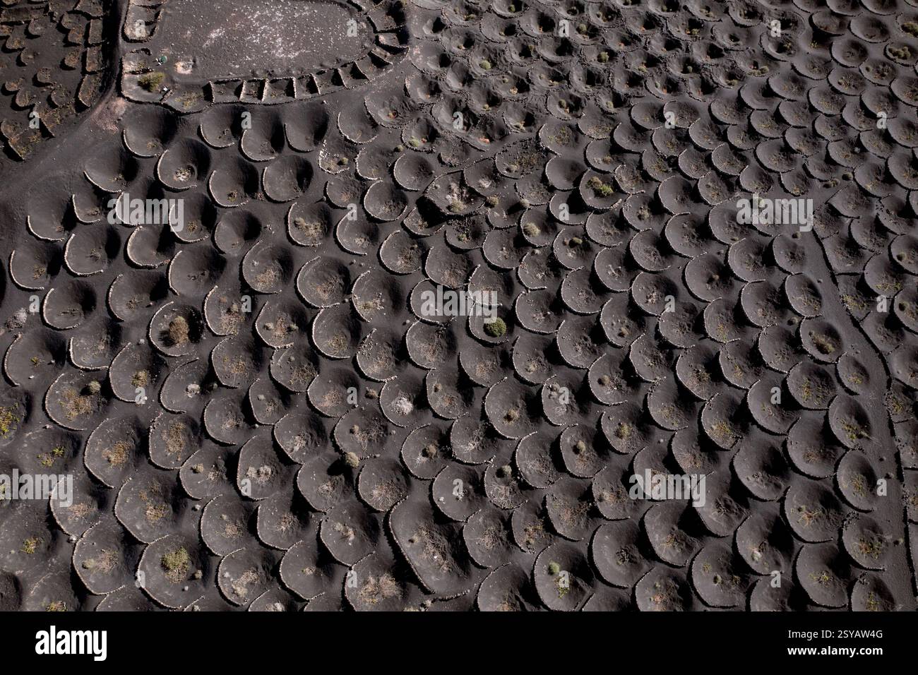 Vista aerea del suolo vulcanico nero ricoperto da fossati rotondi utilizzati per la coltivazione dell'uva, che mostrano le tecniche di viticoltura tradizionali di la G. Foto Stock