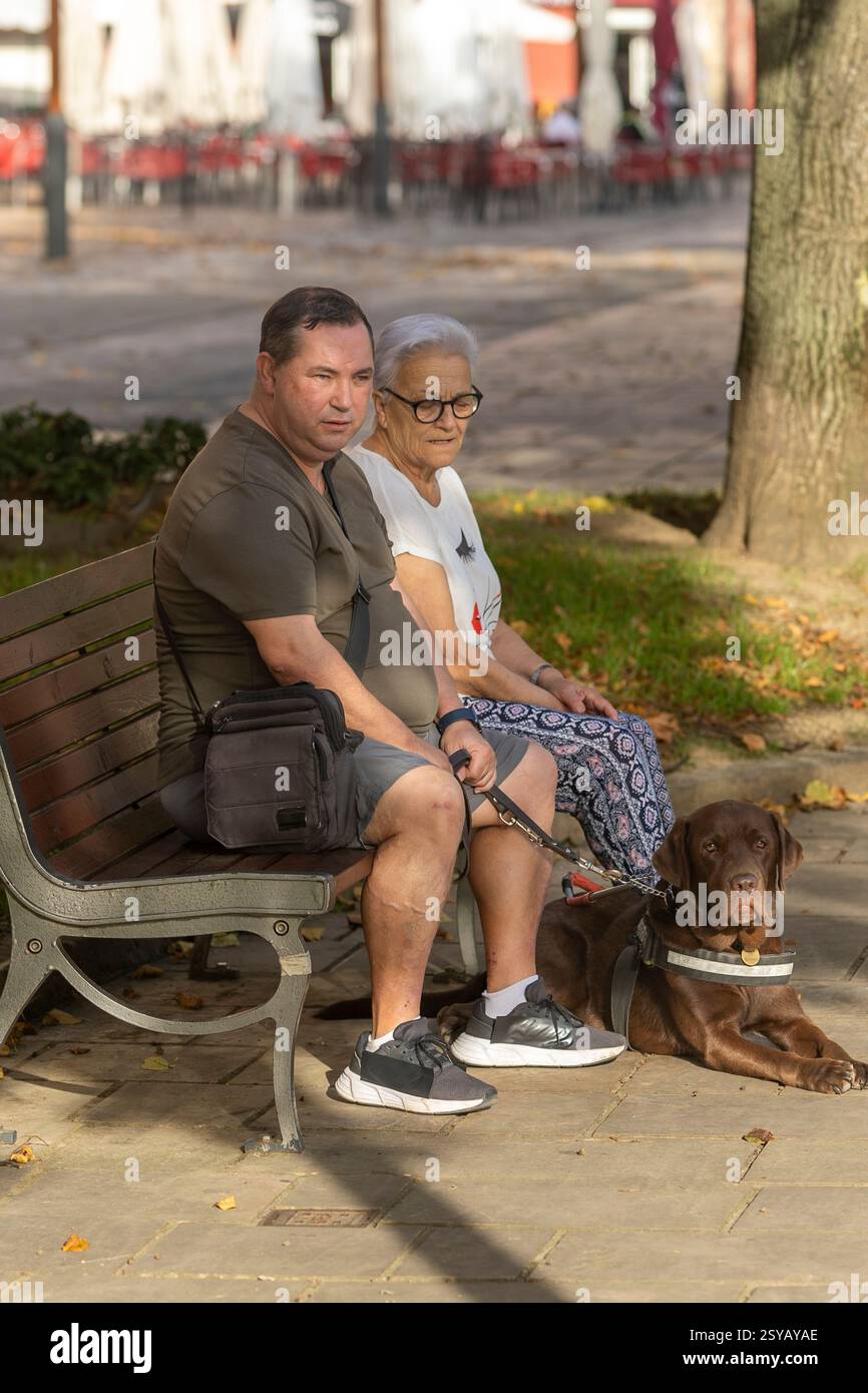 Un cieco e una donna anziana si siedono su una panchina del parco, godendosi la vita all'aperto con un cane guida al loro fianco. La scena cattura un momento sereno in una le Foto Stock