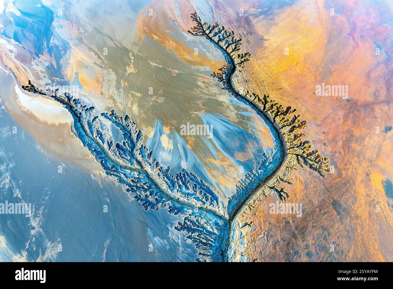 Vista aerea di vivaci distese di fango che mostrano intricati motivi frattali con texture vorticose e colori vivaci. L'opera d'arte naturale è un mas astratto Foto Stock