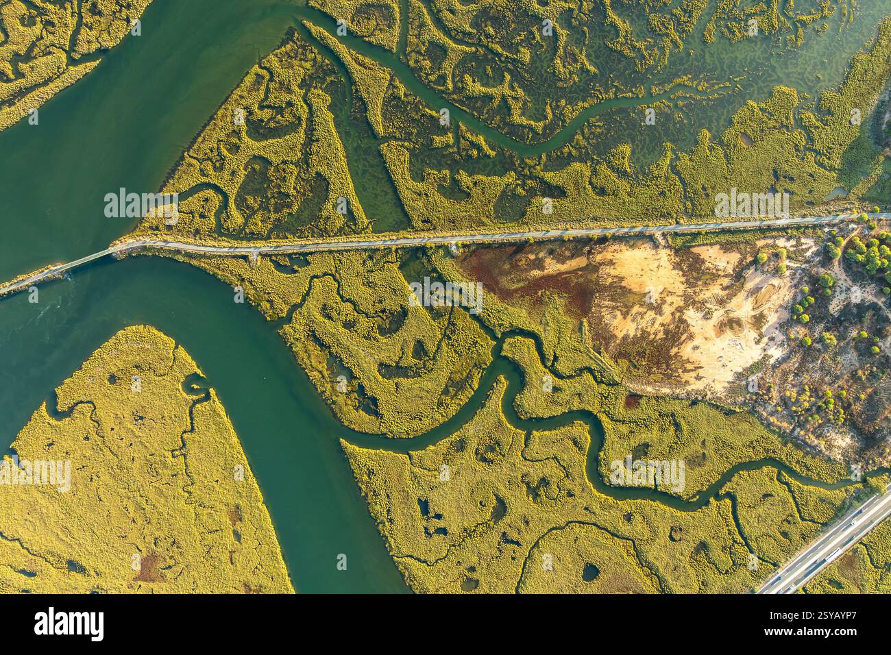 Uno scatto aereo cattura i complessi e vibranti motivi delle paludi di Guadalquivir, mostrando la bellezza naturale e la diversità ecologica di questo m Foto Stock