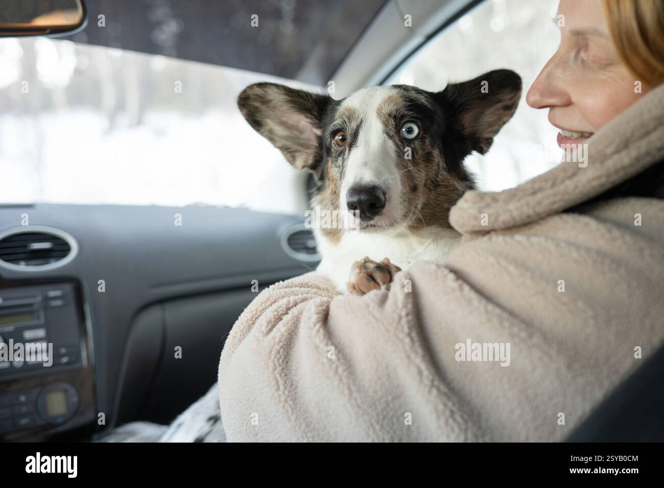 Una donna condivide un momento caldo e accogliente con il suo cane, un collie multicolore con gli occhi, mentre si siedono in macchina durante una giornata invernale nevosa. L'attenzione è o. Foto Stock