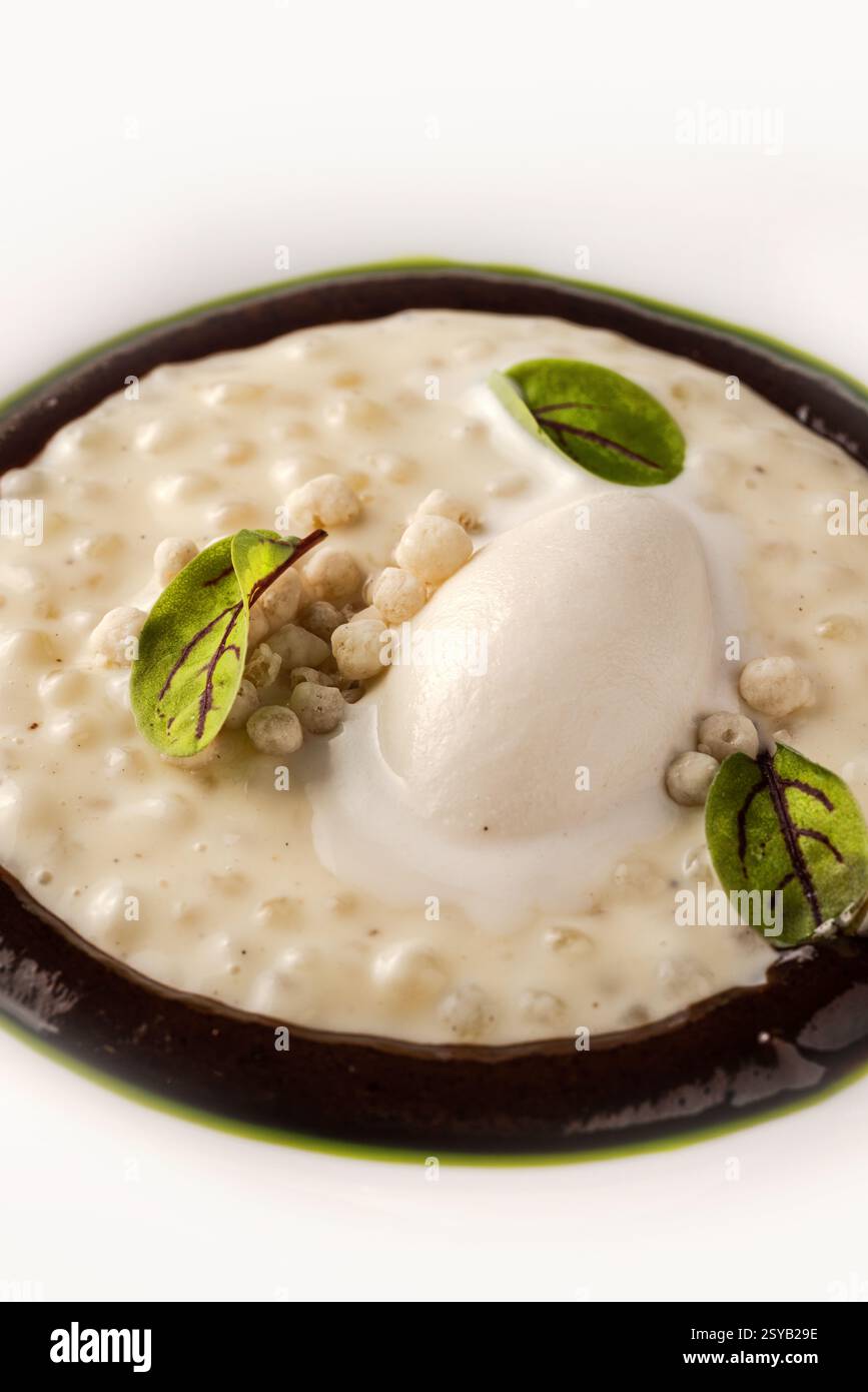 Vista dall'alto del delizioso gelato con quinoa in ciotola su sfondo bianco Foto Stock