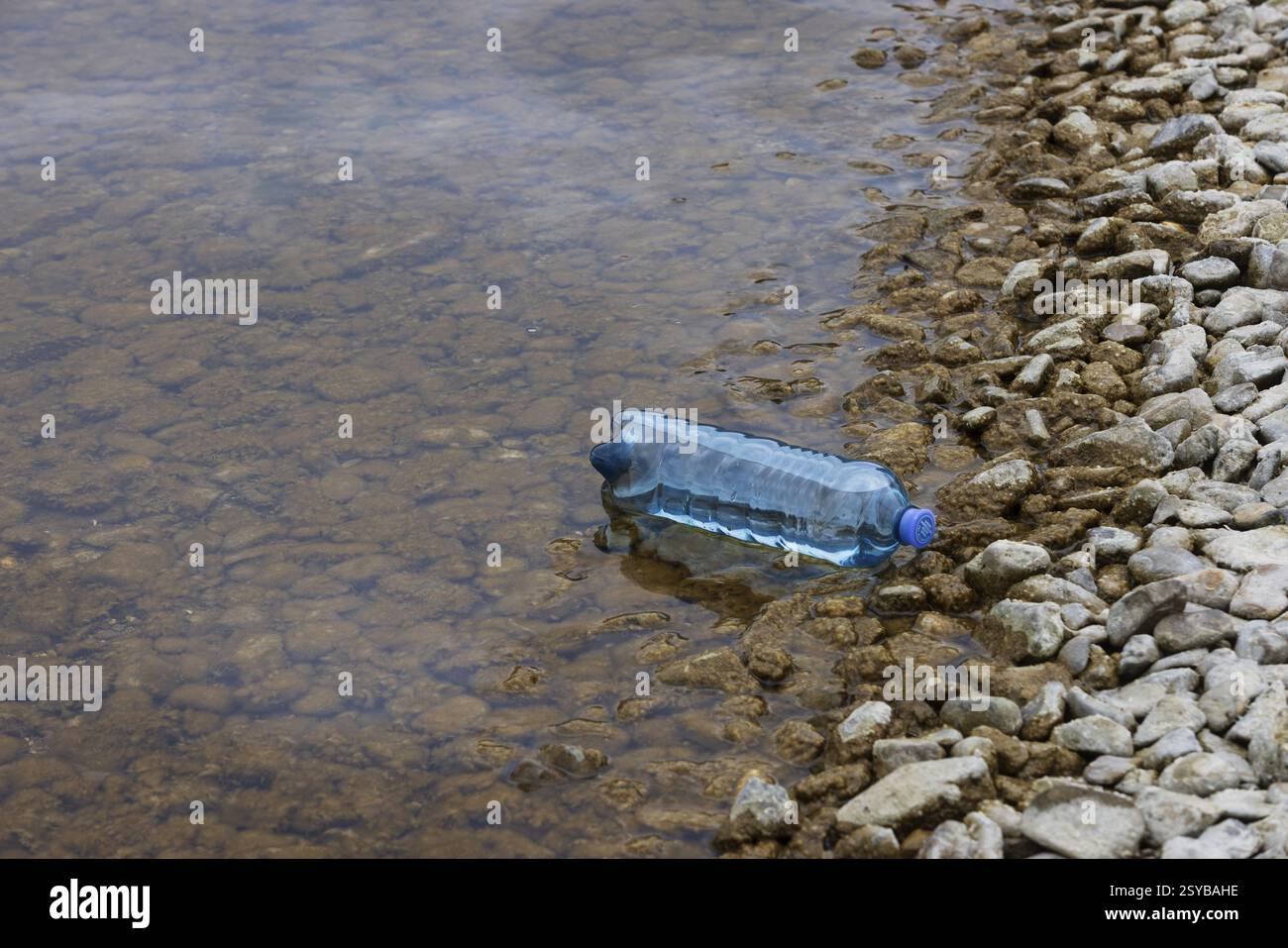 Inquinamento ambientale, bottiglia di plastica lavata sulla riva del lago, Austria, Europa Foto Stock