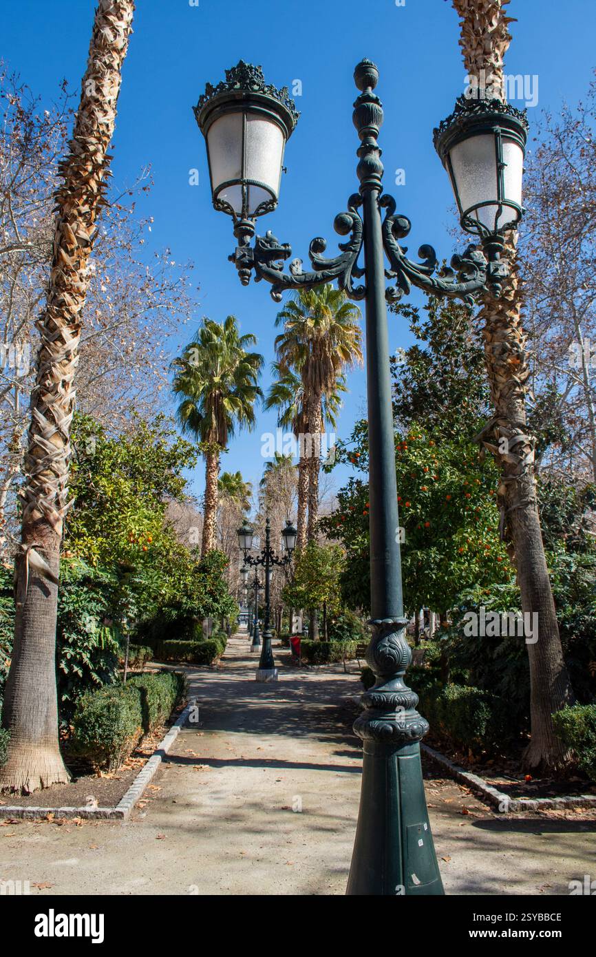 Semaforo sul Paseo de la bomba di Granada Foto Stock
