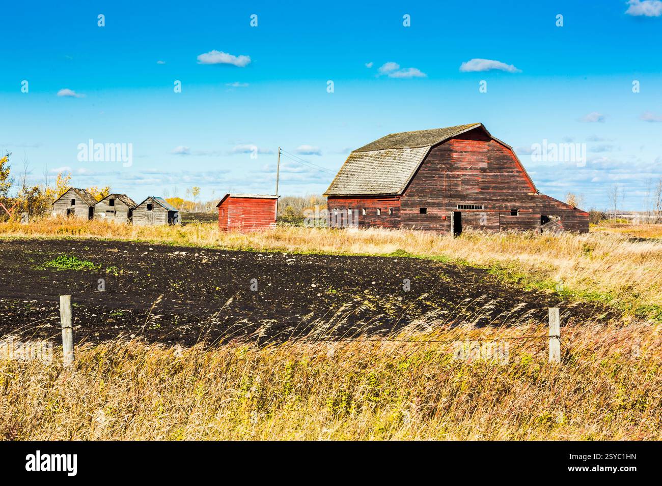 Il fienile rosso si trova in un campo con un capannone rosso. Il fienile è circondato da una recinzione Foto Stock