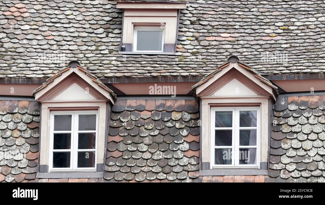 Primo piano del tetto con finestre Dormer e Shingle intemperie Foto Stock