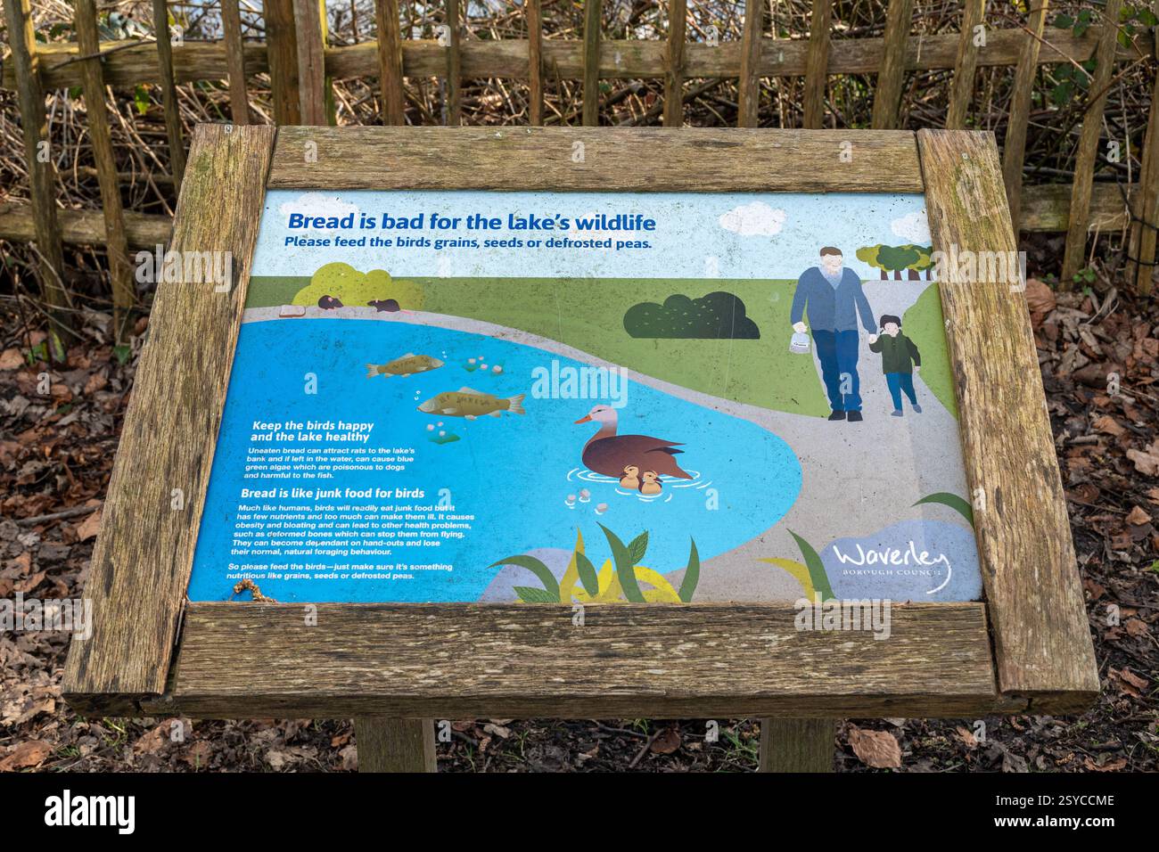 Nota: Il pane è dannoso per la fauna selvatica del lago a Broadwater Park, Surrey, Inghilterra, Regno Unito Foto Stock