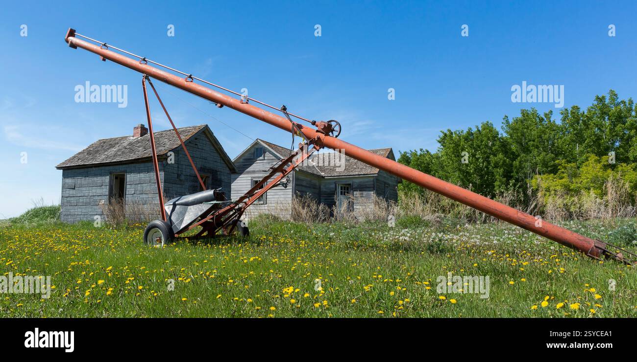 Il trattore rosso e bianco si trova in un campo vicino a una casa. Il trattore è collegato a un tubo lungo Foto Stock