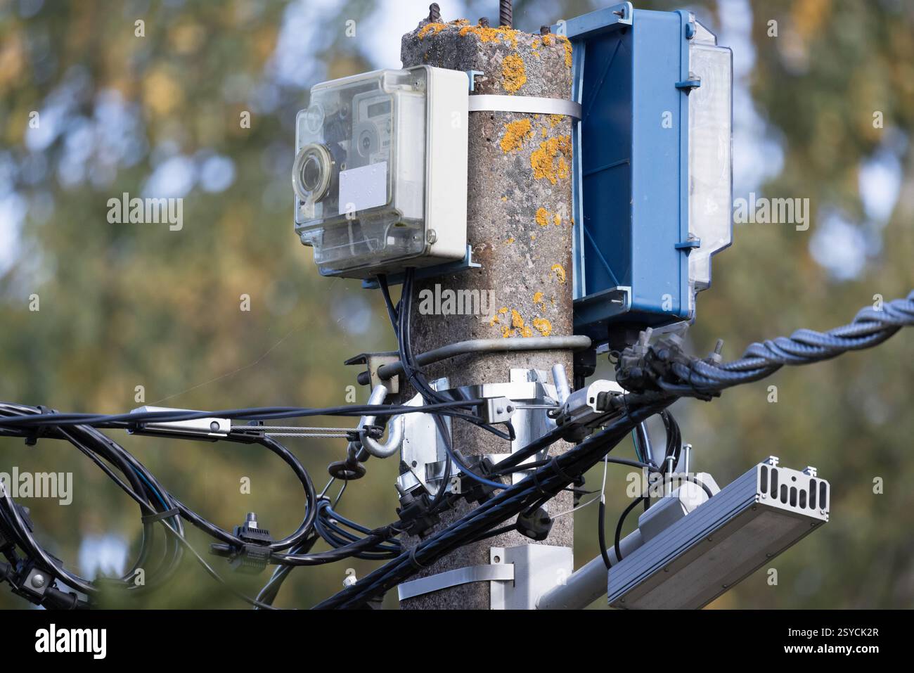 Una vista dettagliata delle apparecchiature elettroniche e dei cavi montati su un palo di servizio, che mostra le moderne infrastrutture elettriche in mezzo a un bac naturale all'aperto Foto Stock