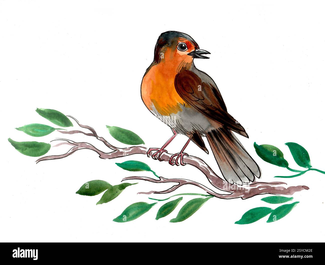 Uccello su un ramo d'albero. Illustrazione ad acquerello disegnata a mano Foto Stock