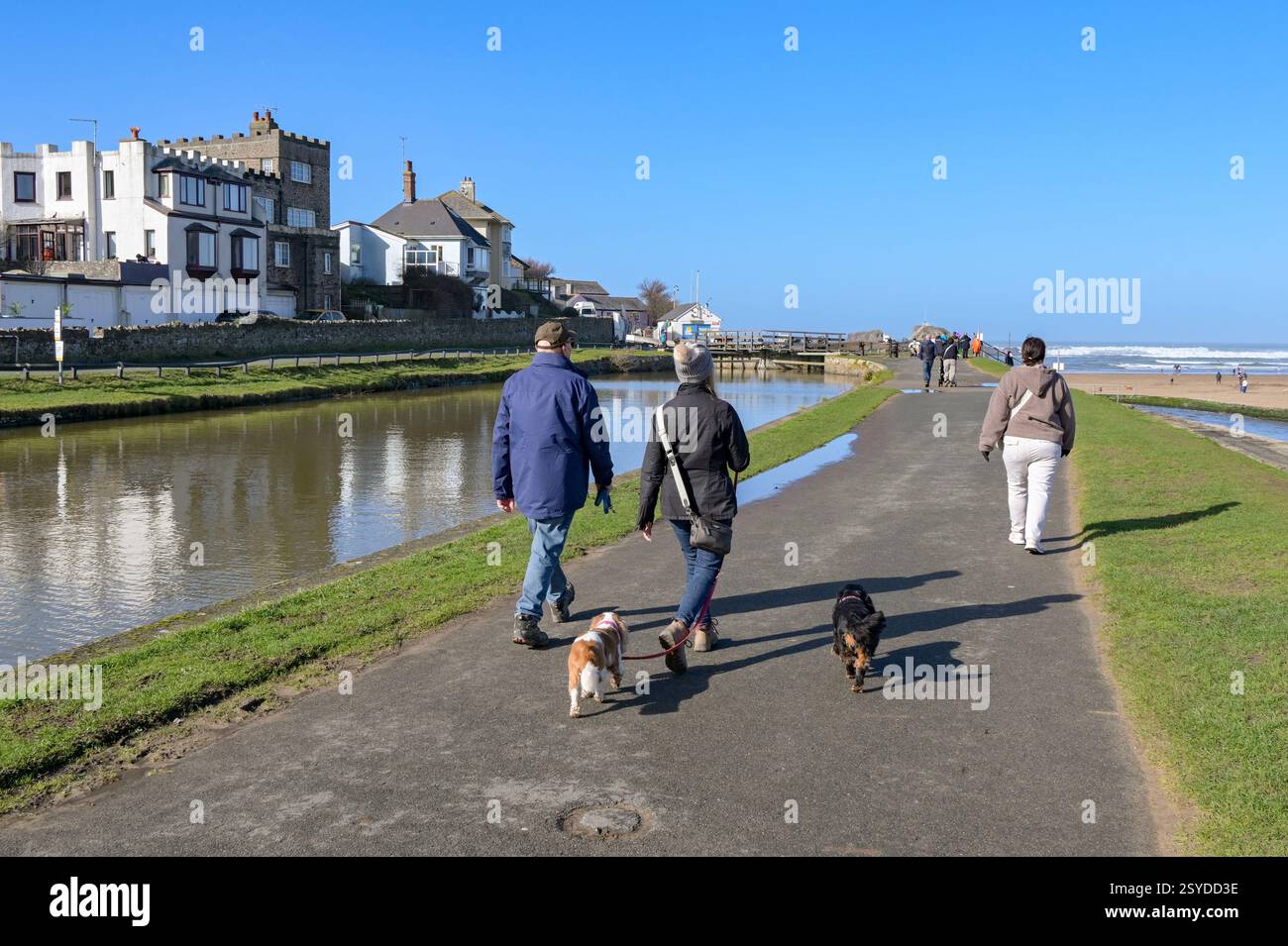 Bude, Cornovaglia, Inghilterra, Regno Unito - 22 febbraio 2025: Persone che camminano con i cani sul sentiero lungo il canale di Bude. Foto Stock