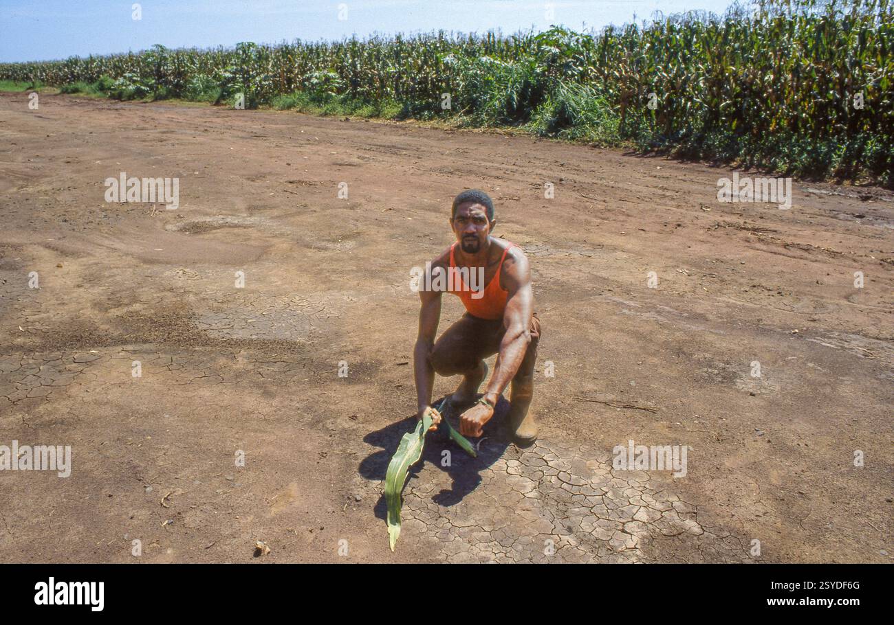 Brasile, nello stato di San Paolo, un contadino siede in un letto di fiume asciutto accanto al suo campo di mais. Foto Stock