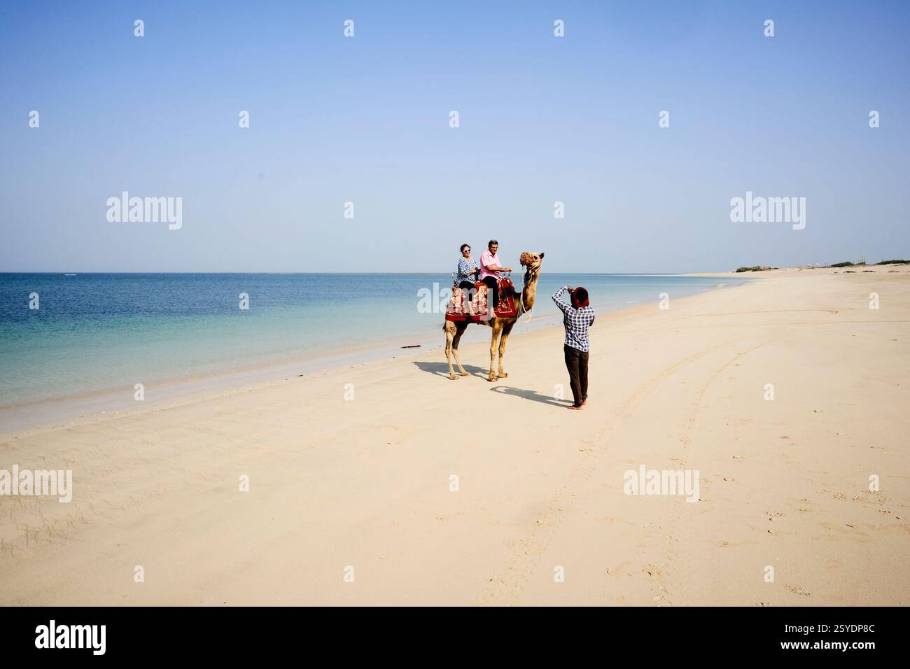 Una coppia a dorso di cammello sulla spiaggia di Shivrajpur, vicino a Dwarka, Gujarat, India Foto Stock