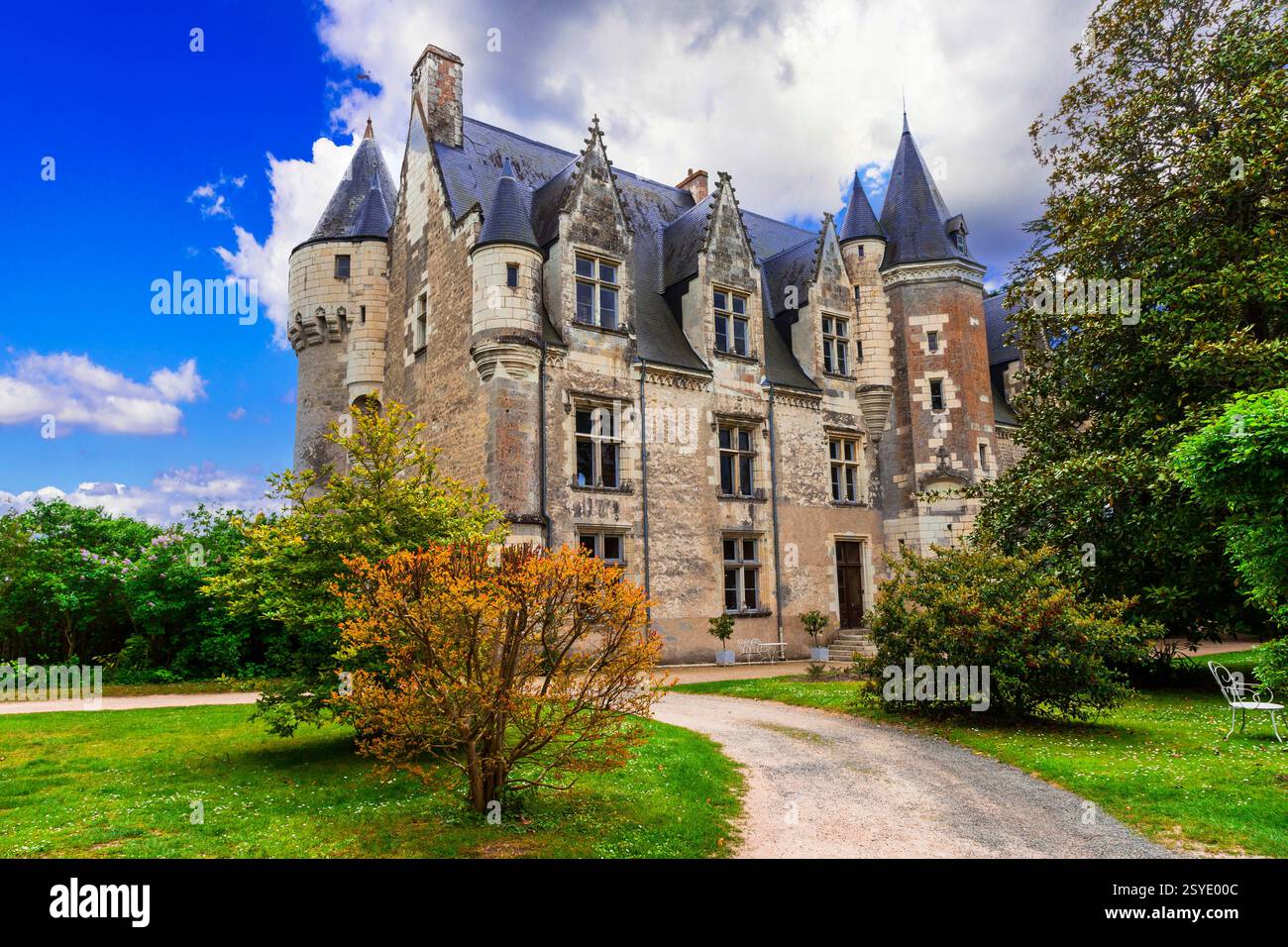 Splendidi castelli romantici della Valle della Loira - il castello di Montresor. Famosi castelli medievali e siti storici della Francia Foto Stock
