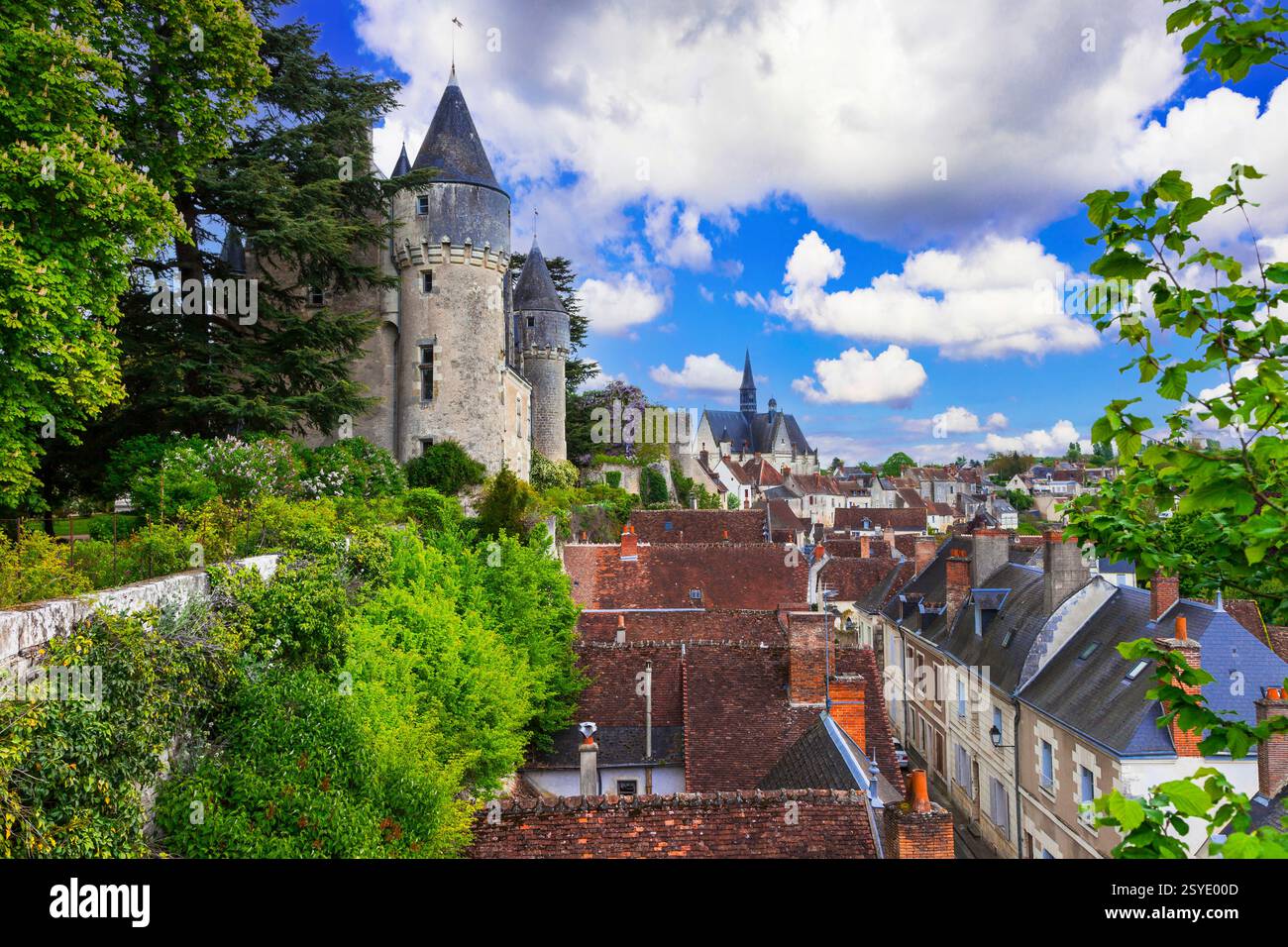 Splendidi castelli romantici della Valle della Loira - il castello di Montresor. Famosi castelli medievali e affascinanti villaggi della Francia Foto Stock