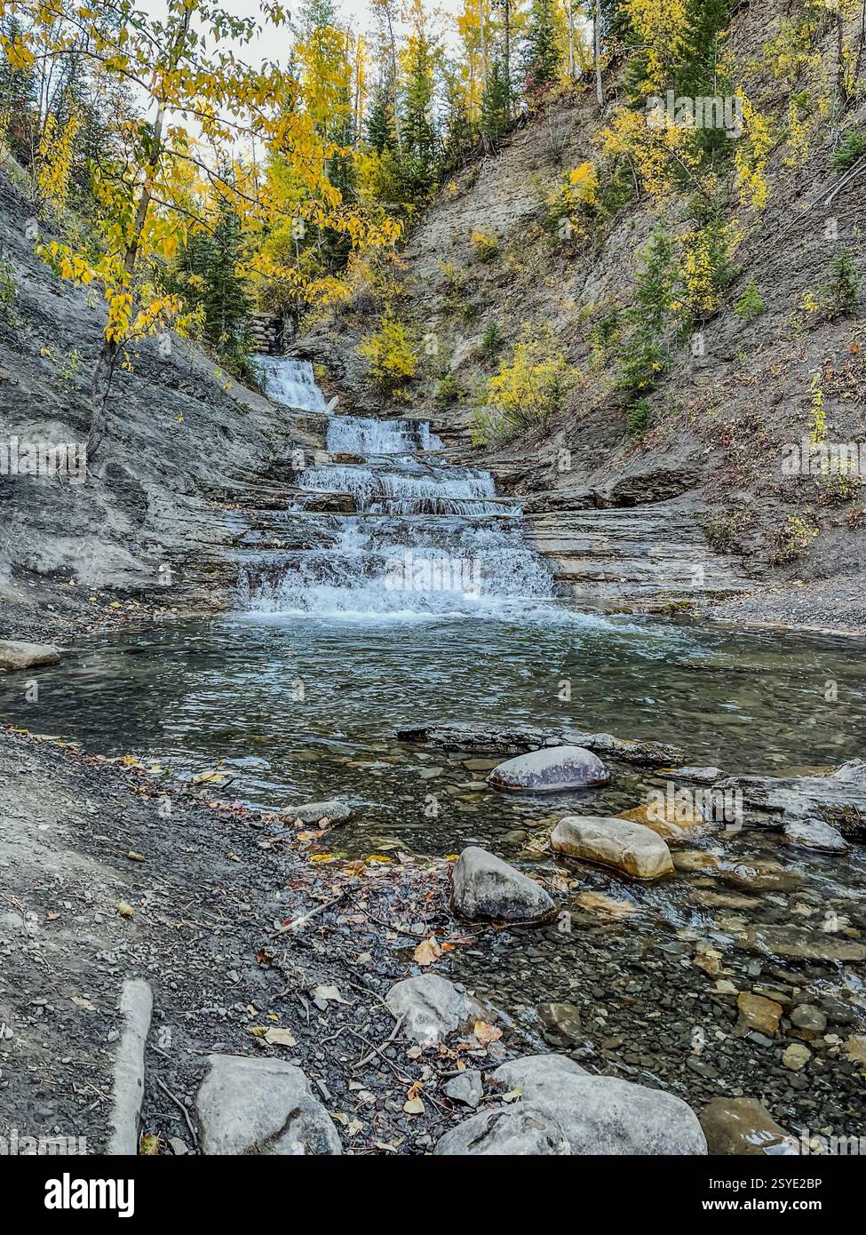 Una cascata a più livelli scorre attraverso un aspro paesaggio roccioso, incorniciato da alberi d'autunno dorati. La cascata naturale crea una scena dinamica in una prospettiva remota - Immagine stock catturata con smartphone