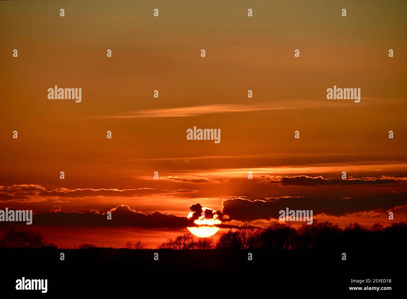 Tramonto l'ultimo giorno di febbraio. Foto Stock