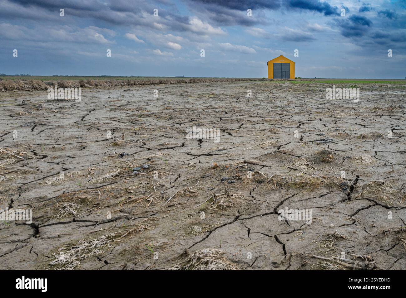 Un campo di riso secco con terreno incrinato e una casa gialla sotto nuvole drammatiche. Foto Stock