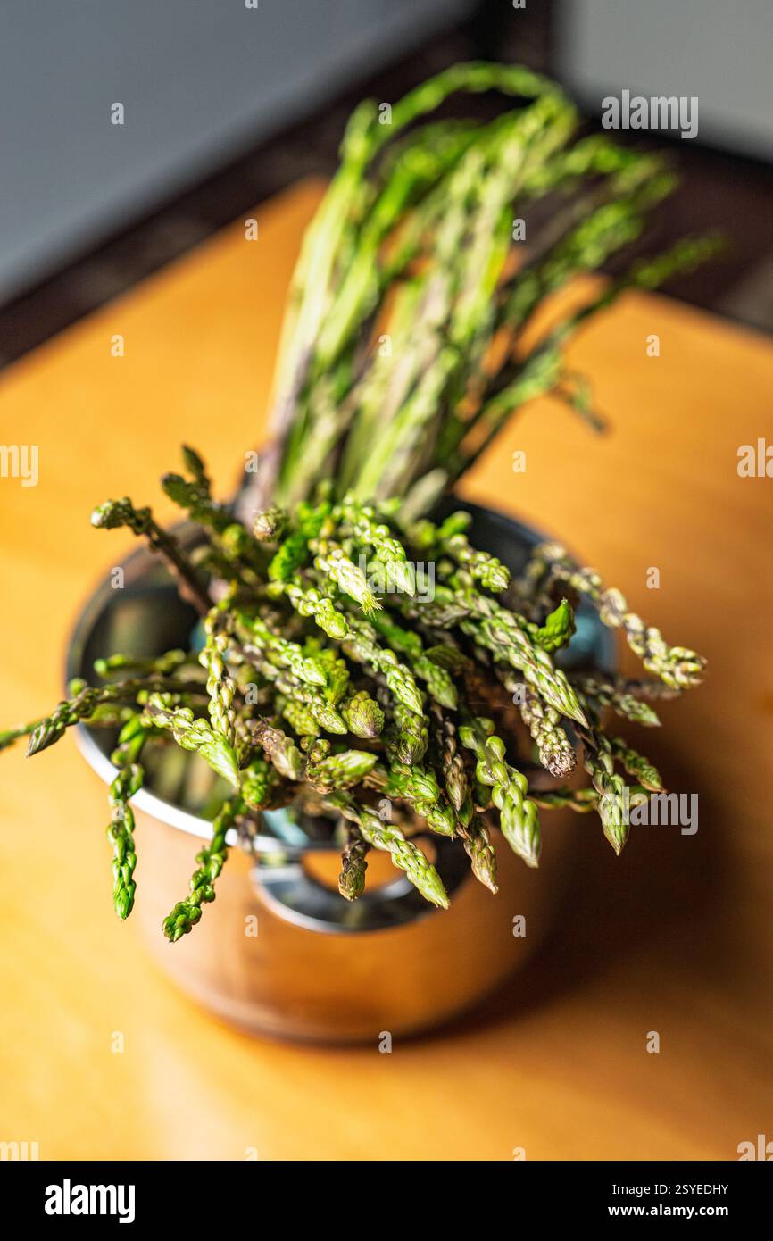 Mazzi di asparagi selvatici riposati in una pentola, preparati per cucinare, accattivanti e freschi. Foto Stock