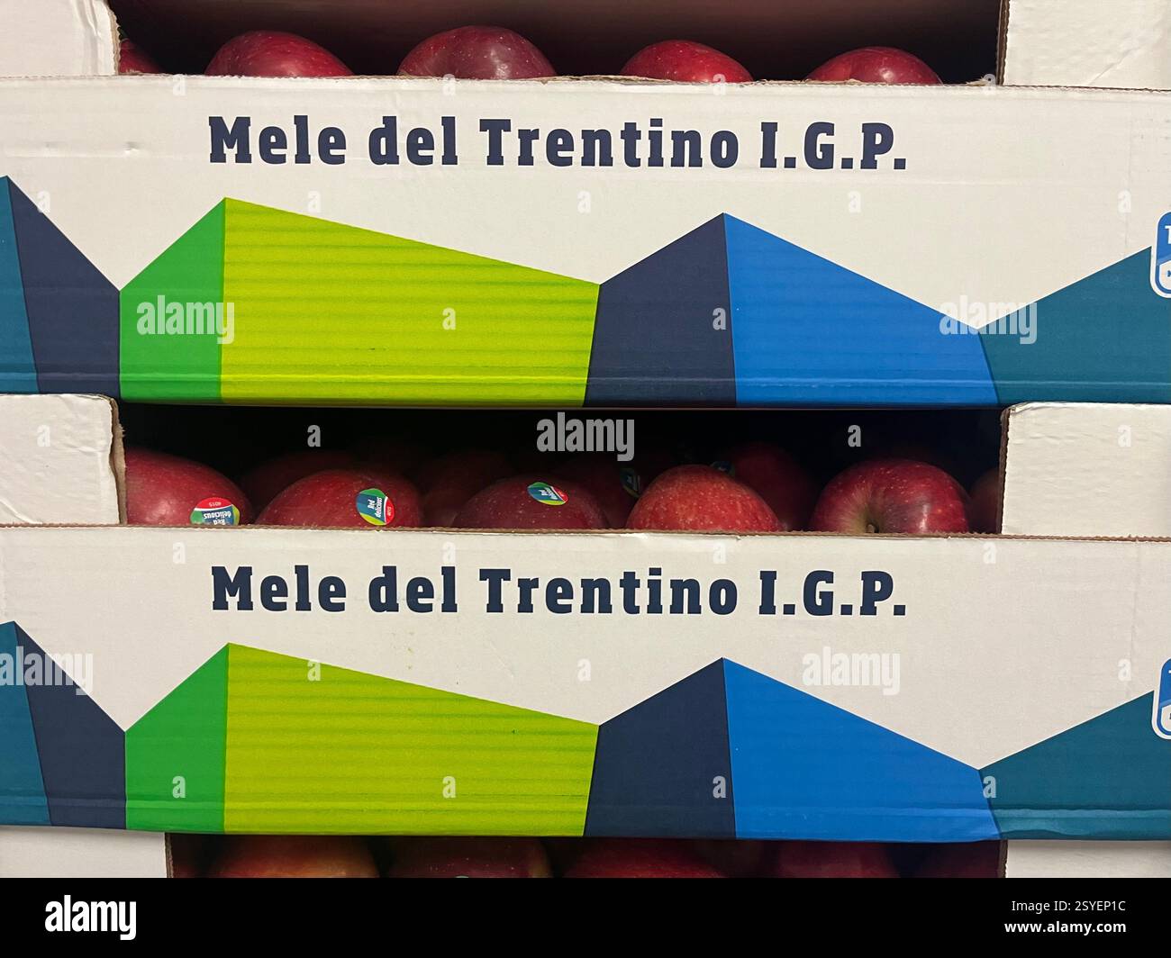 Mele del Trentino, prodotto d'Italia, mele Italia, italiano, distributore di frutta, esportatore di mele, fornitura di frutta, agricoltura, distribuzione, catena di approvvigionamento - Immagine stock catturata con smartphone