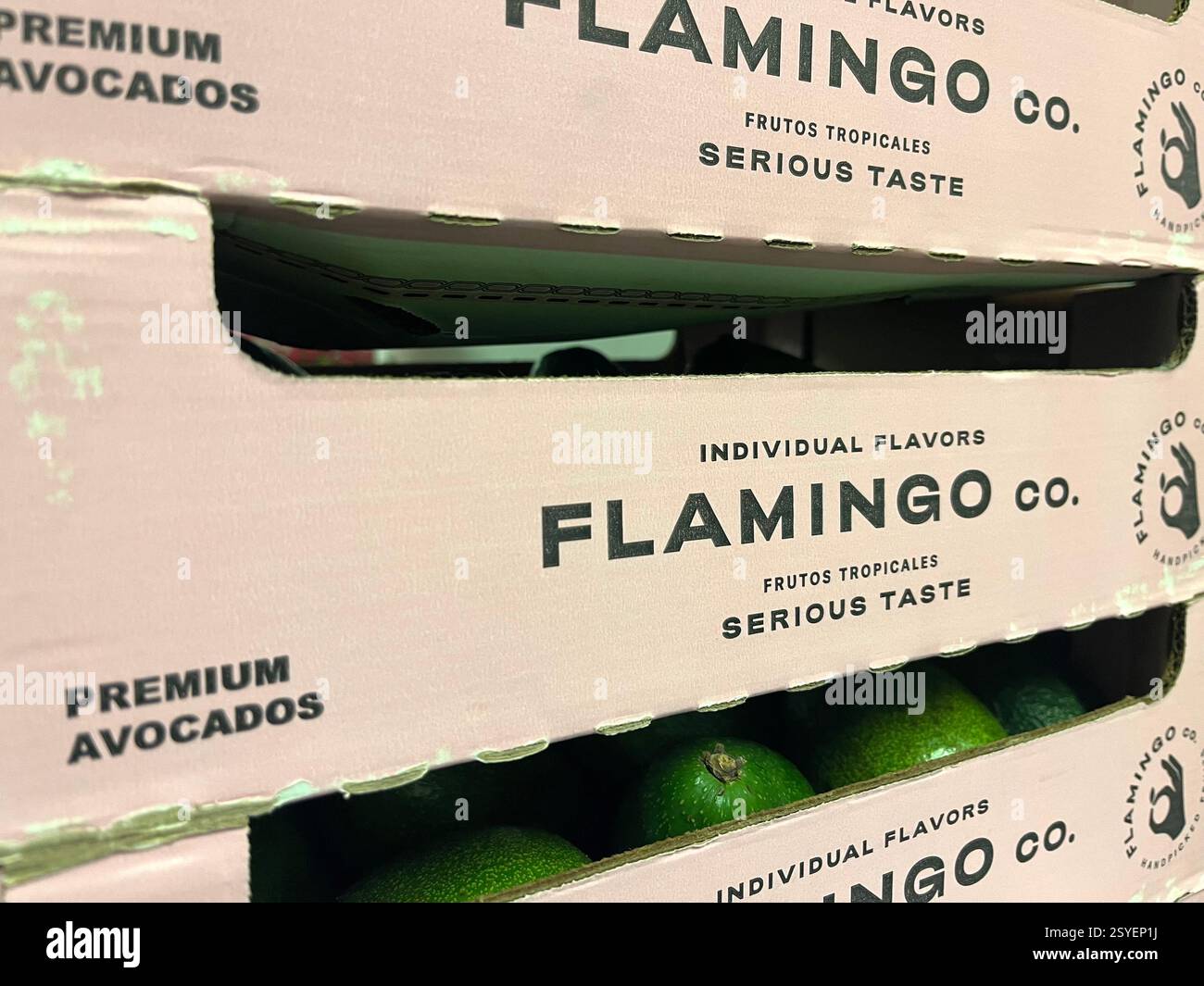 Flamingo co., Sud America, distribuzione di frutta, avocado, magazzino, stoccaggio, casse di cartone, logistica, fornitore di frutta sudamericana - Immagine stock catturata con smartphone