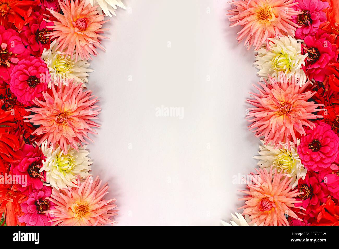 Composizione floreale astratta. Splendido banner autunnale con dahlia, gerberas e aster con spazio per testo, tessera per le vacanze, natura morta stagionale 'Ciao, Foto Stock