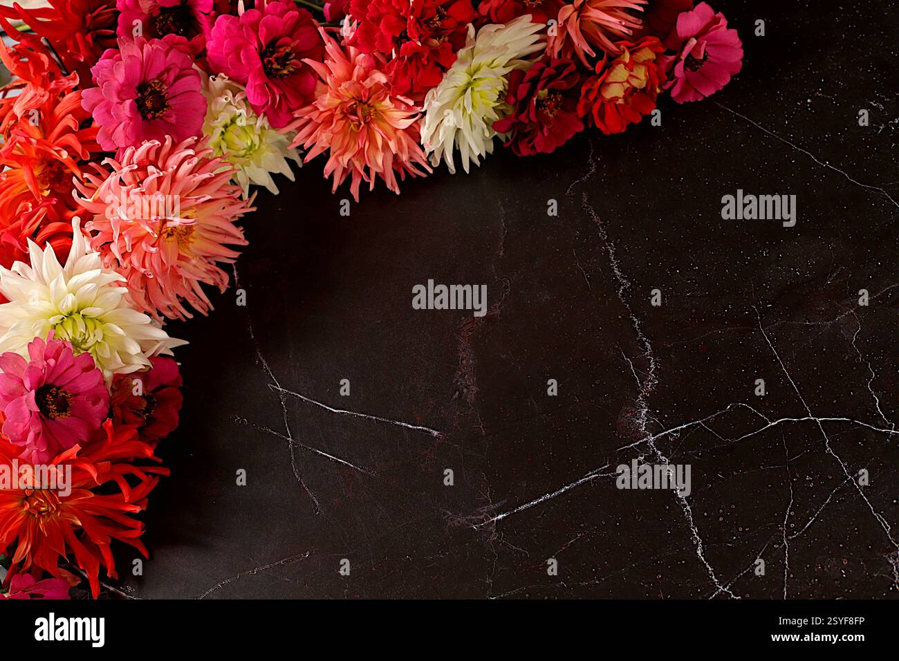 Composizione floreale astratta. Splendido banner autunnale con dahlia, gerberas e aster con spazio per testo, tessera per le vacanze, natura morta stagionale 'Ciao, Foto Stock