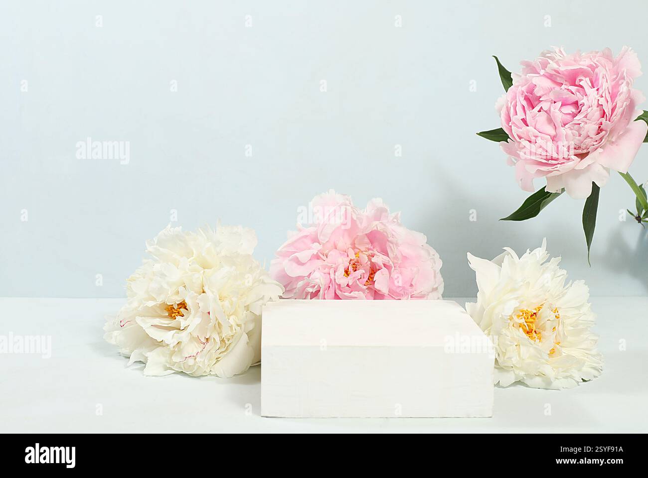 Composizione floreale minima. Sfondo astratto con podio vuoto e fiori di peonie, vetrina vuota per l'esposizione o la presentazione di prodotti cosmetici, p Foto Stock