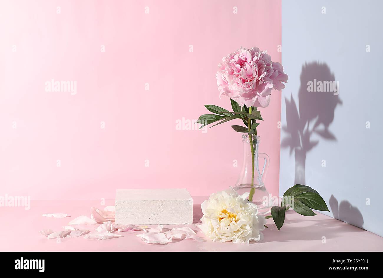 Fondo astratto con podio vuoto e fiori di peonia . Disposizione floreale minima, una vetrina vuota per la dimostrazione o la presentazione del cosmo Foto Stock