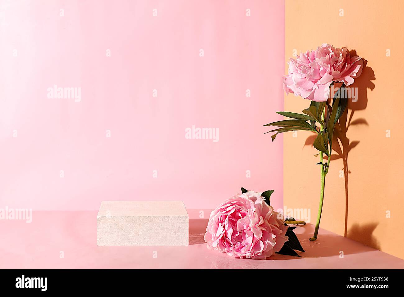 Composizione floreale minima. Sfondo astratto con podio vuoto e fiori di peonie, vetrina vuota per l'esposizione o la presentazione di prodotti cosmetici, p Foto Stock