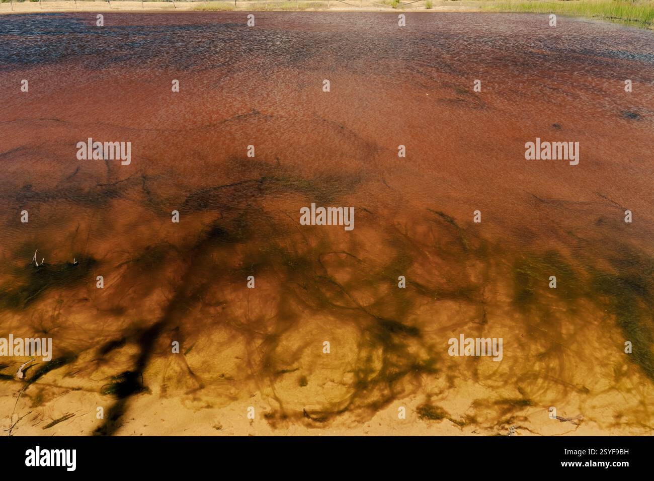 Il lago si estendeva sul fondo di un bordo giallastro di un lago di acqua rossa, in una fattoria vicino alla città coloniale di Villa de Leyva, nella Colombia centrale. Foto Stock