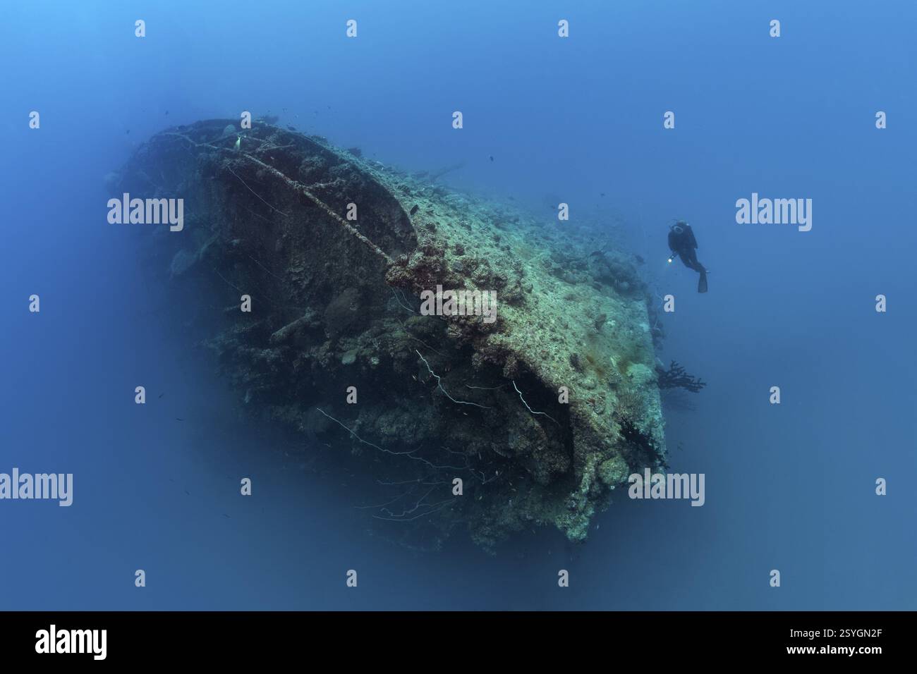 Subacqueo sulla prua della lealtà britannica, relitto, naufragio, silurato il 09.03.1944 dall'U-183, gravemente danneggiato, affondato il 15.01.1946, Oceano Indiano, Addu ATO Foto Stock