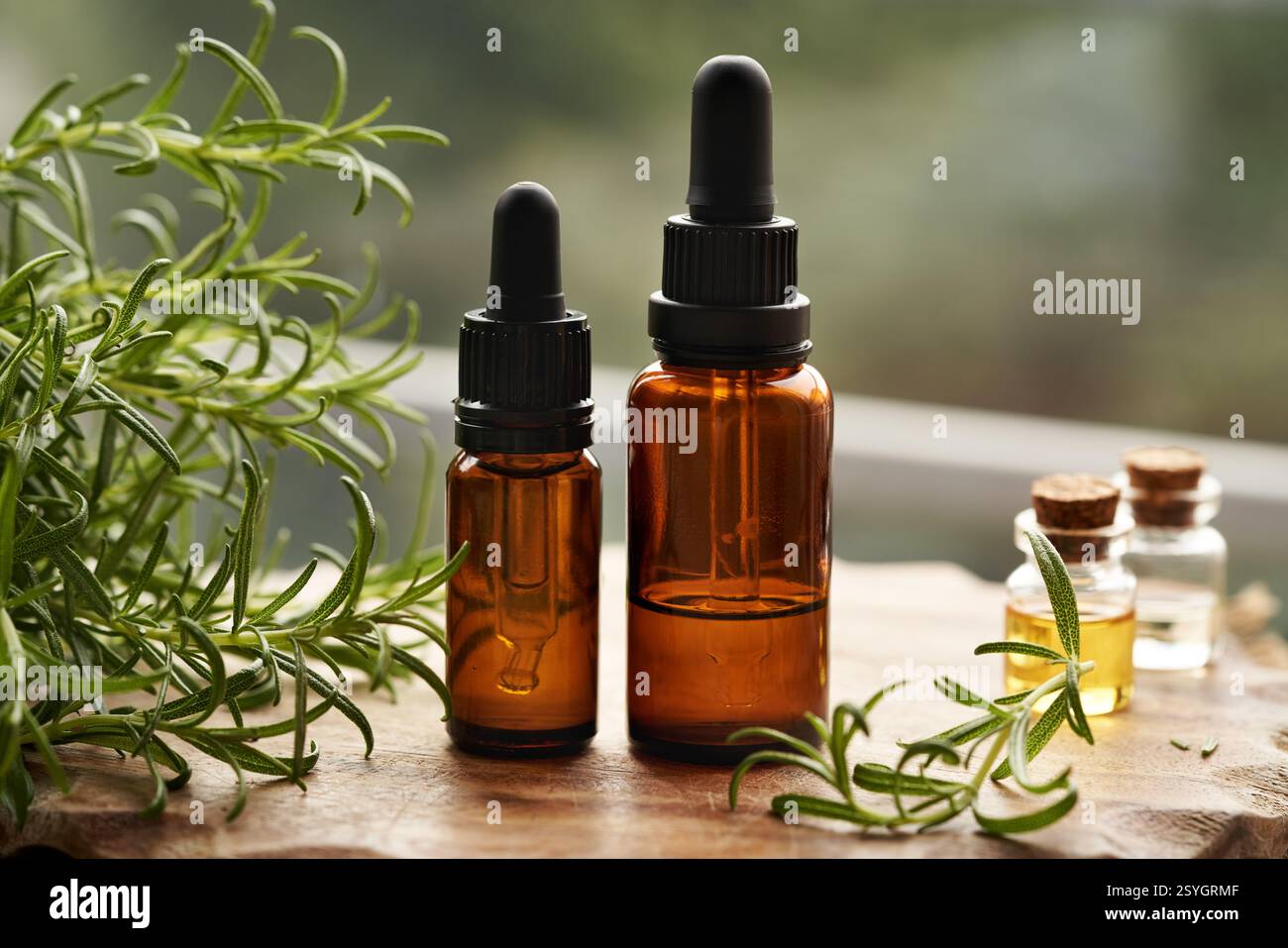 Bottiglie di olio essenziale per aromaterapia con ramoscelli di rosmarino freschi Foto Stock
