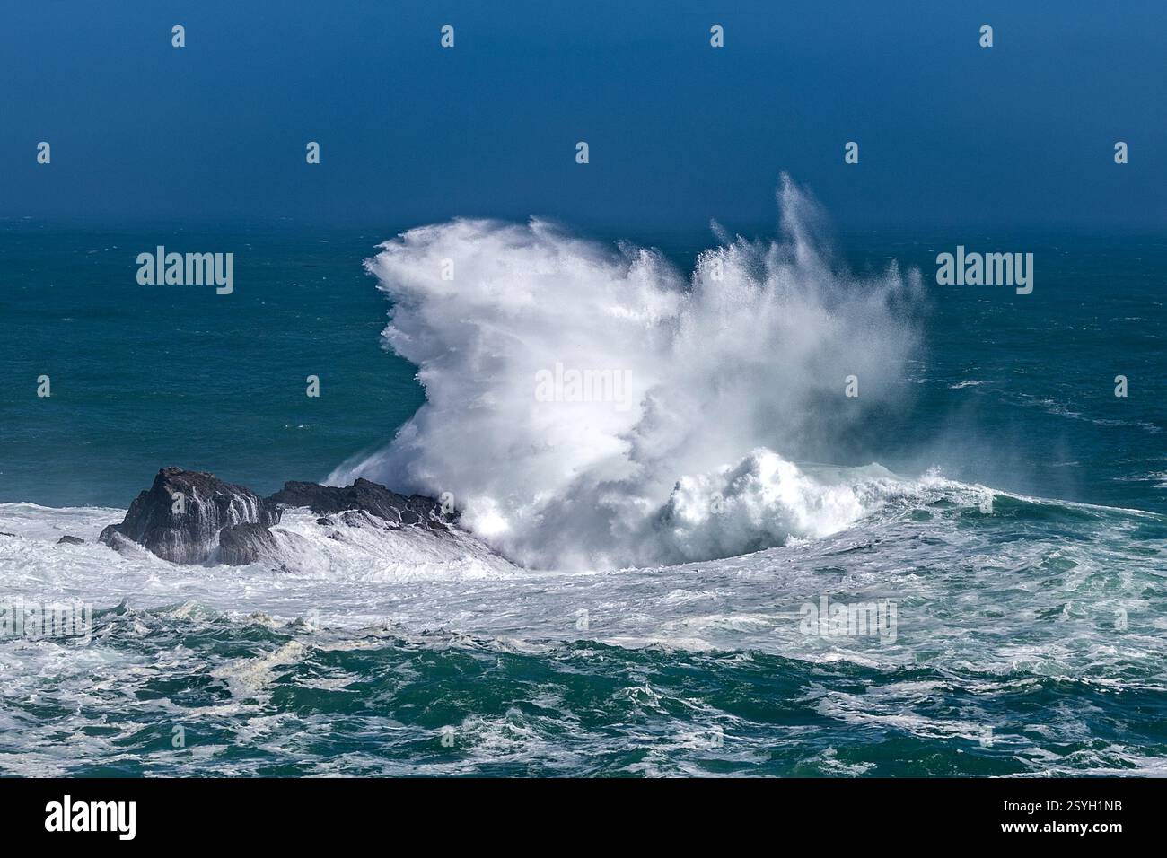 Seascape, Cape Bourgainville, East Island, Isole Falkland Foto Stock