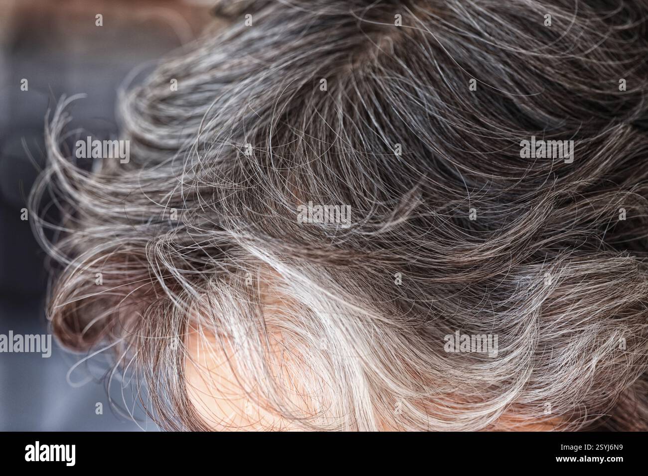 Una donna con i capelli grigi. Il concetto diventa grigio. Primo piano. Foto Stock