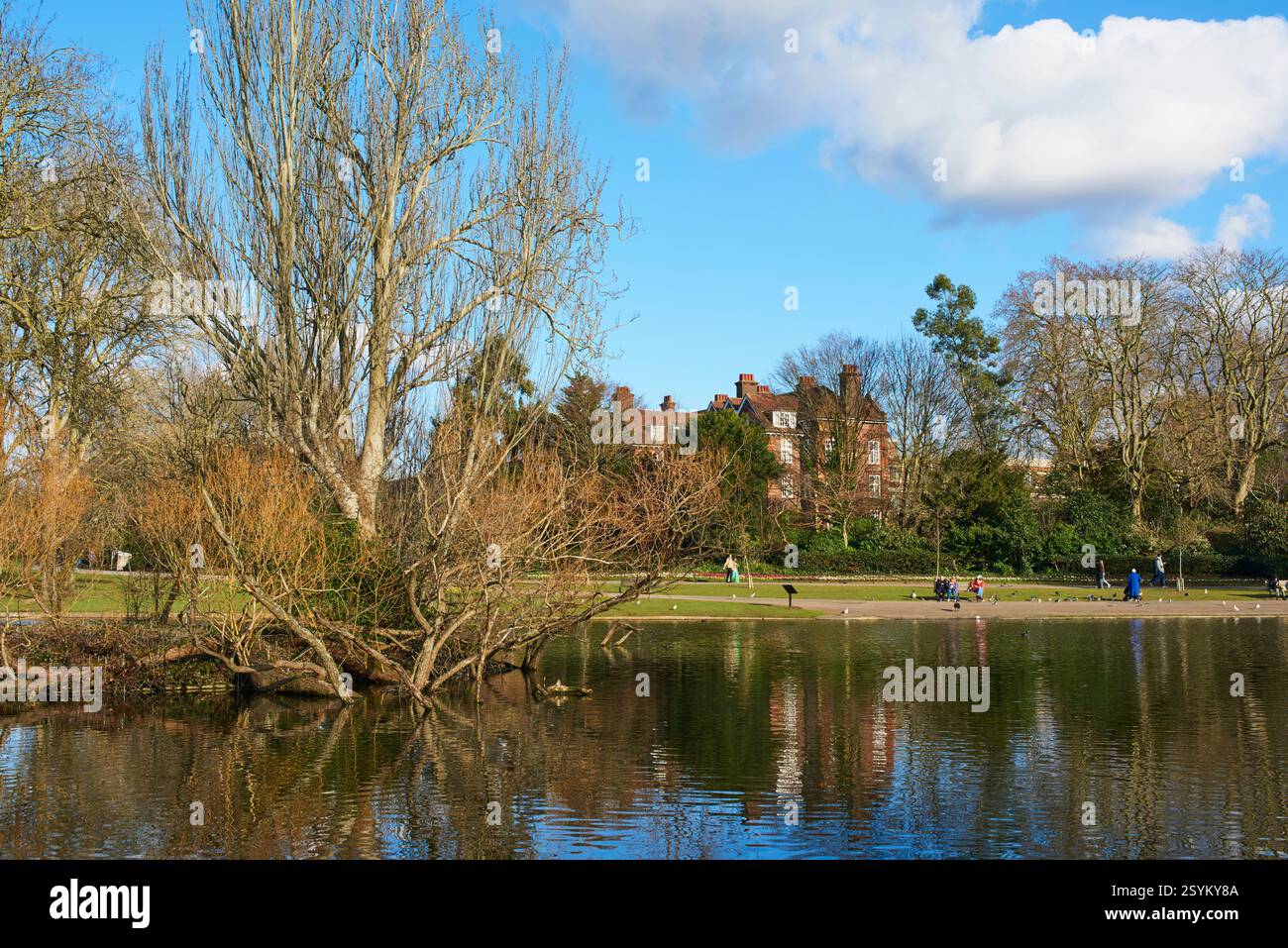 Regent's Park, lago nautico a fine inverno/inizio primavera, Londra, Regno Unito, con gli edifici della Regent's University sullo sfondo Foto Stock